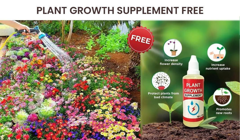 Quirk Mart Blossom Bliss Flower Seeds (Pack of 100) And Get Plant Growth Supplement Free